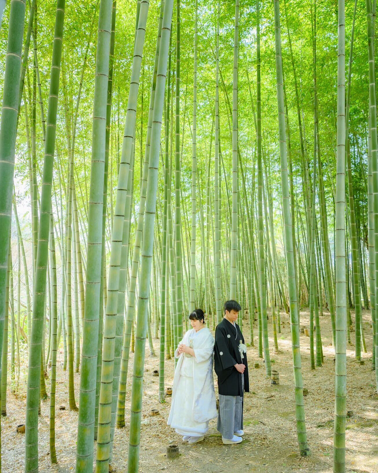 和装×建長寺