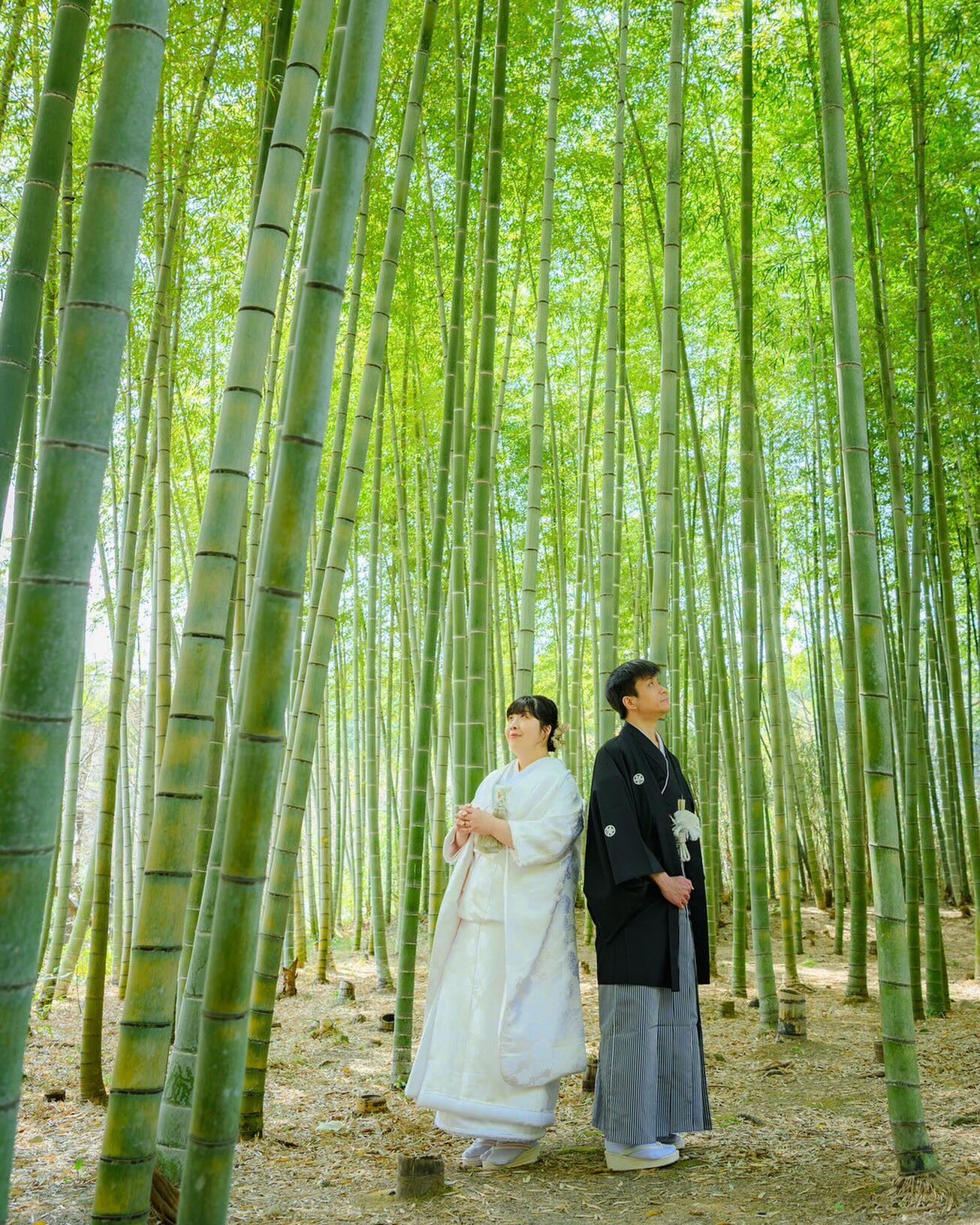 和装×建長寺