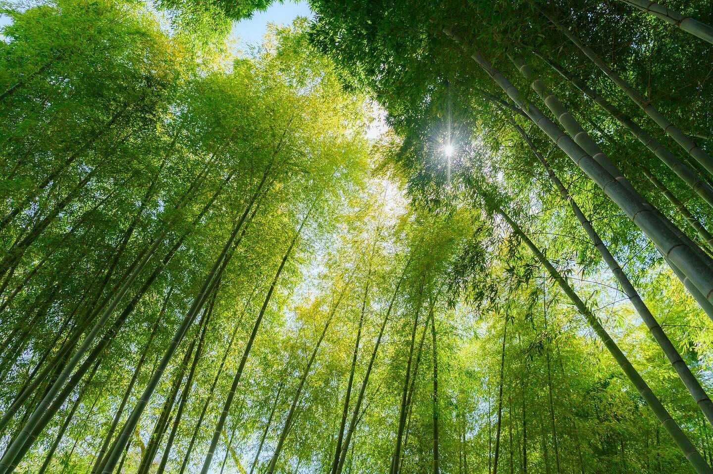 和装×建長寺