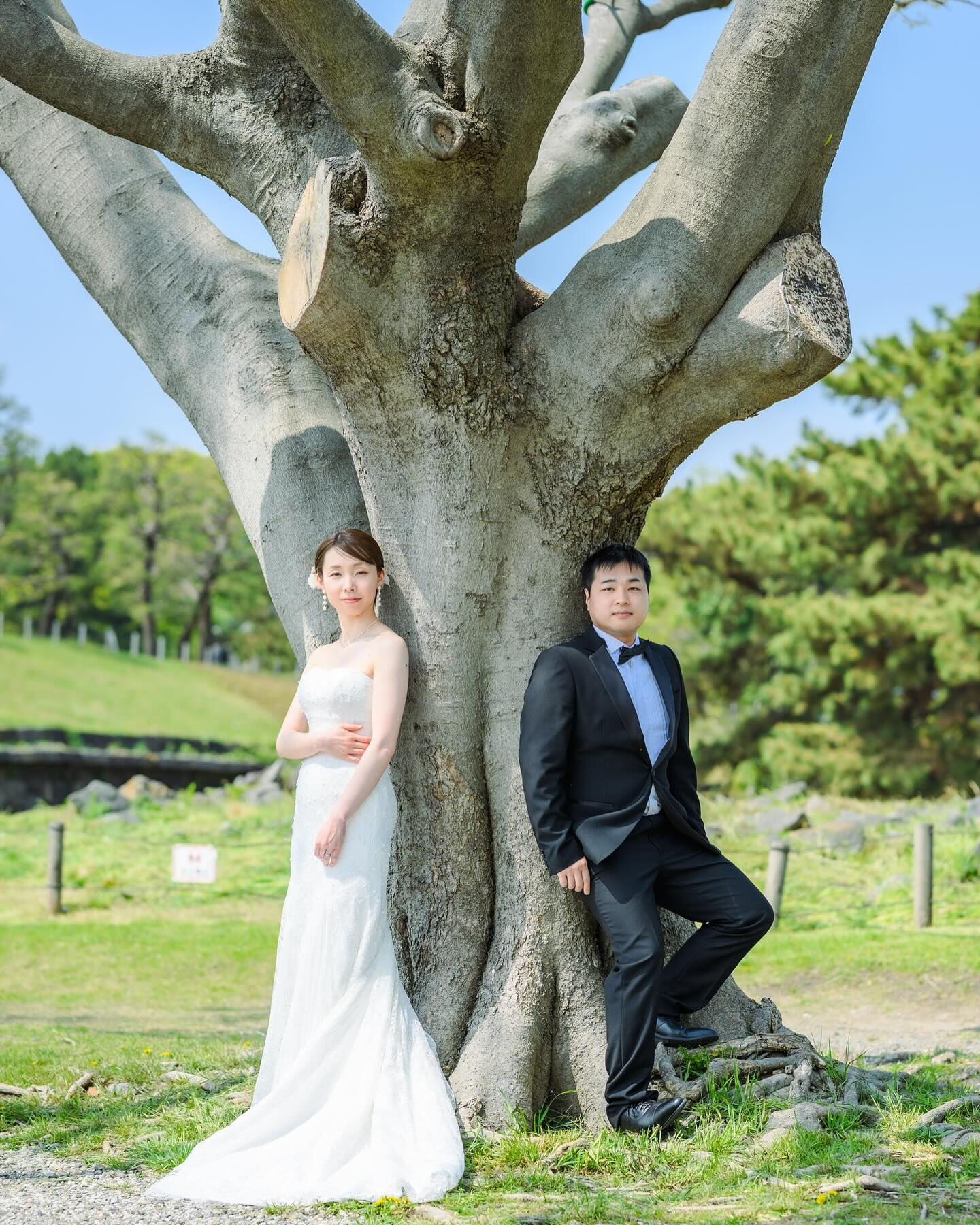 ふたり、ひとつの木のように