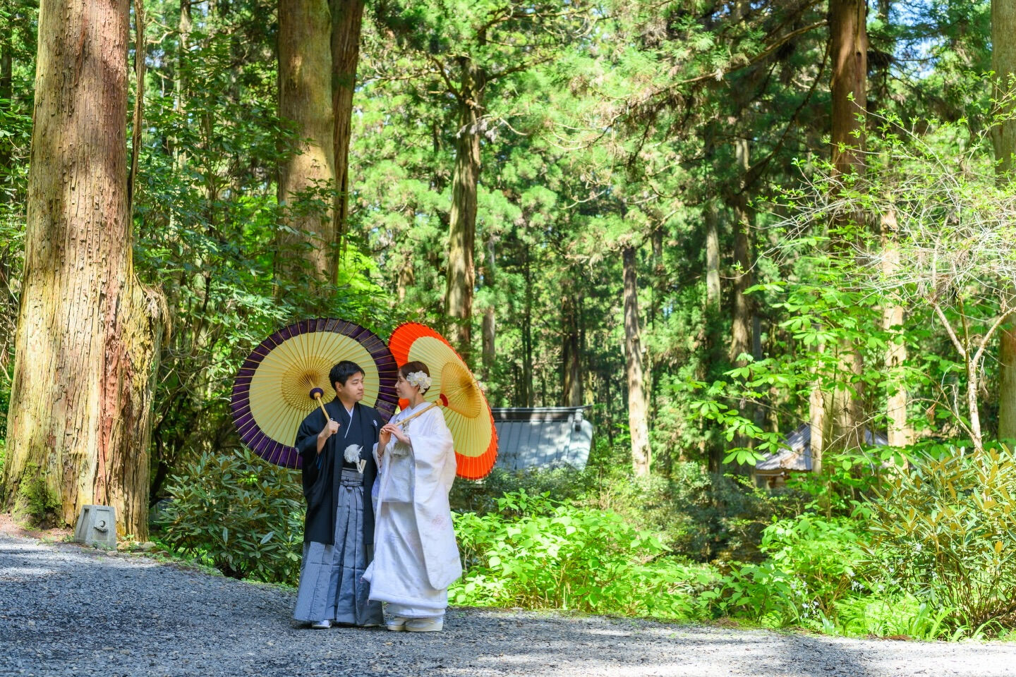 📍「自然の中で、深呼吸するような一枚を残したい」